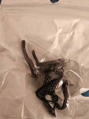 4 Pcs Snake Design Rings